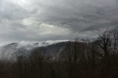 autre_brume1 autre_brume1