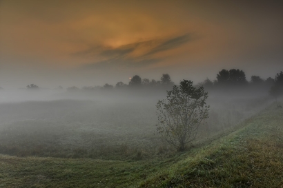 brume_7 brume_7