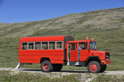 bus bus