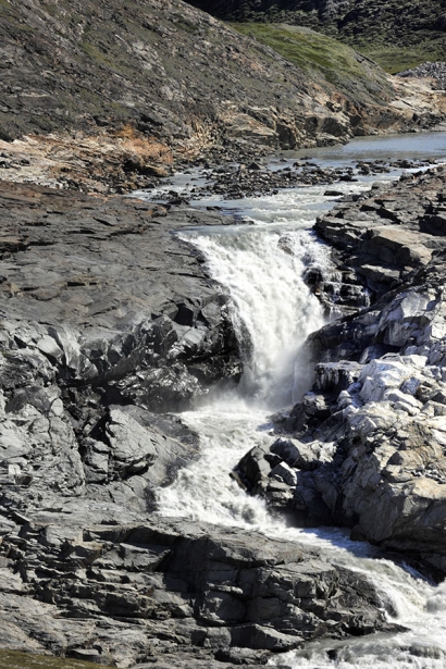 torrent torrent