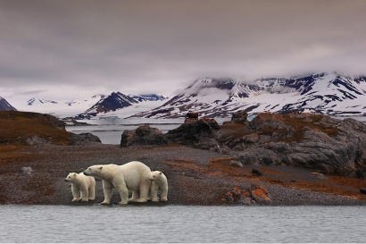 Famille 5